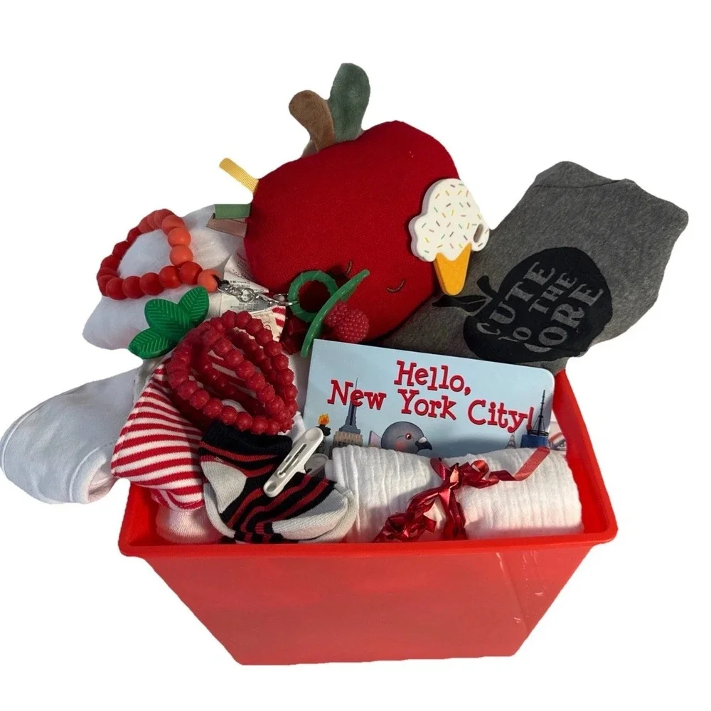 Hello New York‎ City Baby Gift Basket Apple Lovey Teether Blanket Bibs Bodysuit